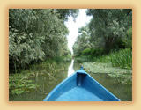 Channel, Danube Delta