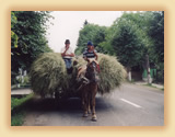 Hay cart, Bukovina
